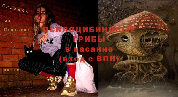 стафф Алзамай
