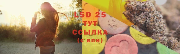 стафф Алзамай