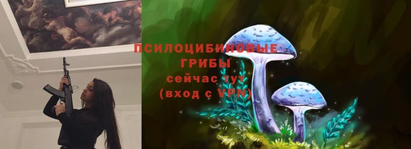 стафф Алзамай