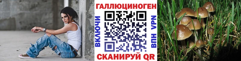 Галлюциногенные грибы GOLDEN TEACHER Мегион